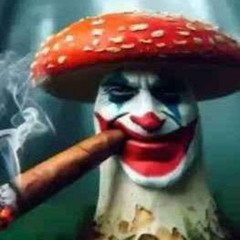 Гошо от Почивка и Пинги - Mimi Kura Provetri Ni