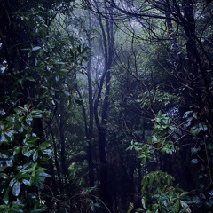 ..:•o0o0o0oo•• (techno mix）