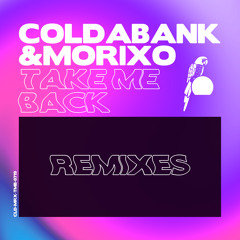 Take Me Back (Jansons Remix)