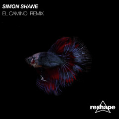 El Camino (Luca Lazza Remix)