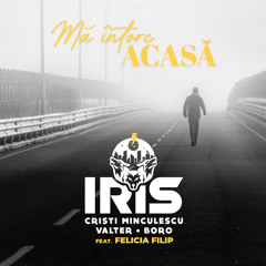 Ma intorc acasa (feat. Felicia Filip)