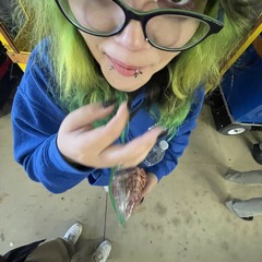 Walmart Yoshi