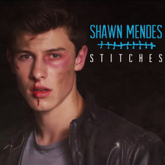 STITCHES ( Khoir WiraWinata ) - Xiaopaopao