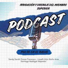 Irrigación y drenaje del miembro superior