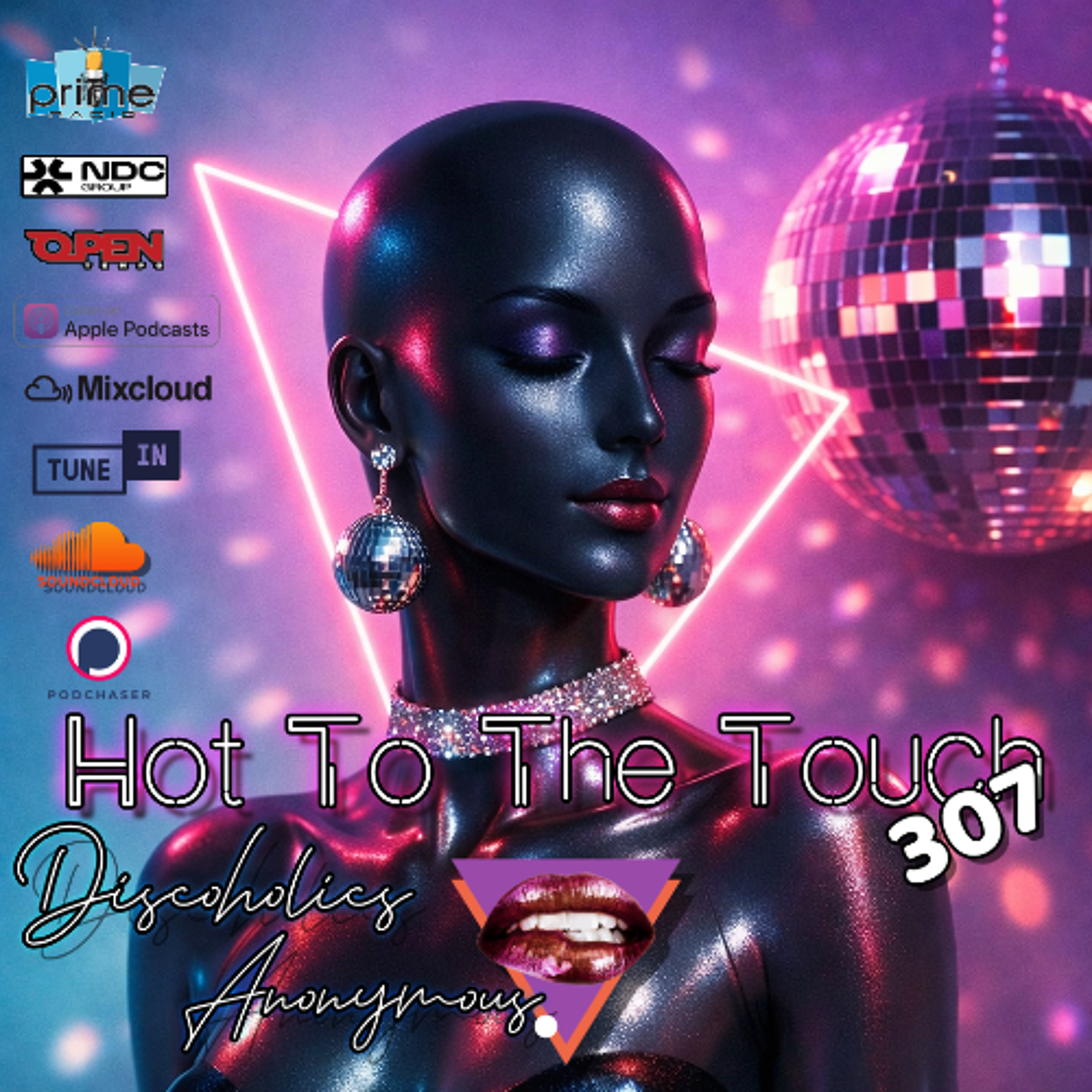Hot To The Touch 307 - DISCO / JACKIN HOUSE MIX 2026 — FEEL GOOD DJ SET episode artwork