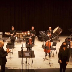 "Litanie" for piano and 9 instruments - Marlies Hollevoet