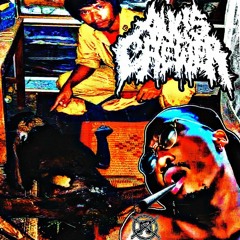 Anus Chewer - OH SHIT, IM BUSSING (single)