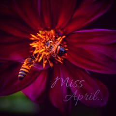 Miss April
