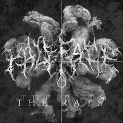 The Rats (feat. Clench Your Fist)