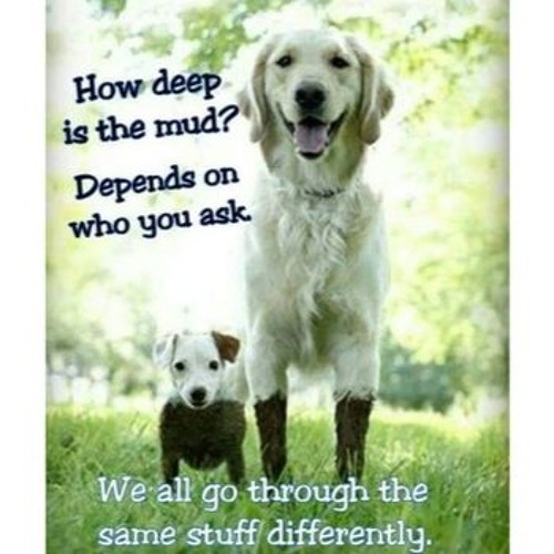 fakemink - world go round/Fearr (prod. ian x mink) (OG VERSION)