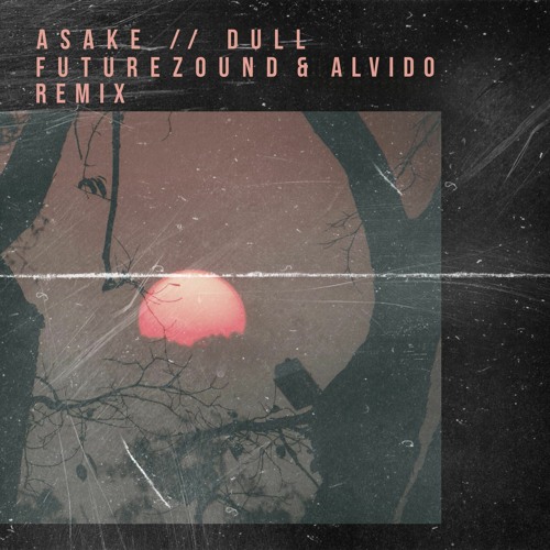 Asake - Dull (Futurezound & ALVIDO Remix) (Extended Mix)