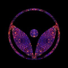 Psy Baba - Vibrations Of Sound