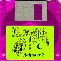 bergenot schnake 2 cover