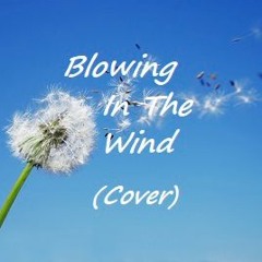 Blowing In The Wind - Cover by Tony