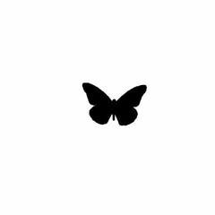 LITTLE BUTTERFLY
