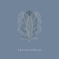 Aarnivalkea