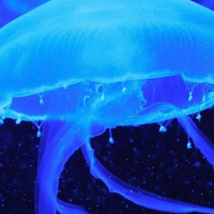 bunmyeong (demo, 2020)