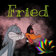 DKR Newt X DKR One - Fried