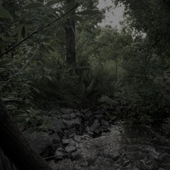 Tuf
