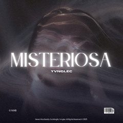 YVNGLEC, SvckNvght - Misteriosa
