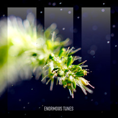 Daniel Portman - Blue Collar