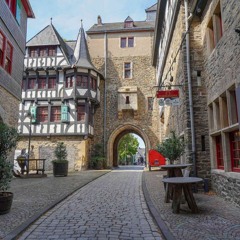 The Trip To Sollingen