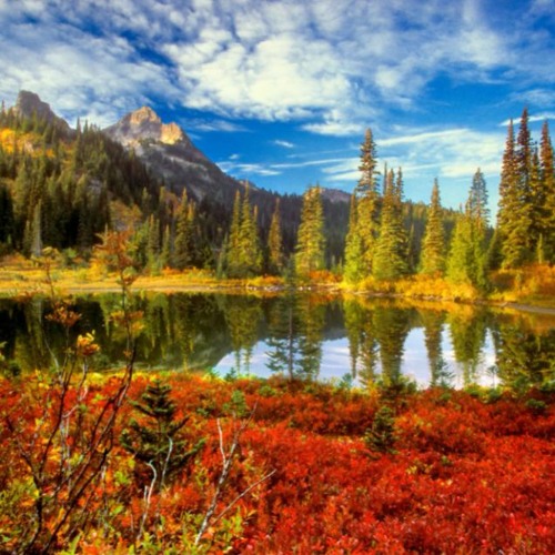 Anak background music mp3 FREE DOWNLOAD