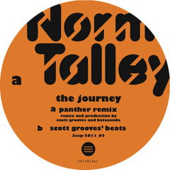 The Journey Scott Grooves (Panther Remix)
