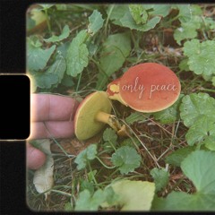 only peace