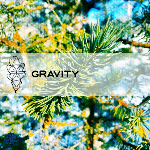 gravity