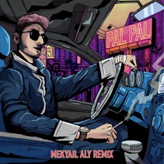 Pal Pal (Mekyail Aly Remix) | Afusic, Ali Soomro | [Afro House]