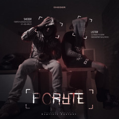 SHEDER - PORYTE