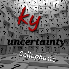 Uncertainty