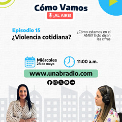 Cómo vamos episodio 15: ¿Violencia cotidiana?
