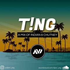 T!NG Vol. 10: A Mix Of Indian & Chutney (2022)