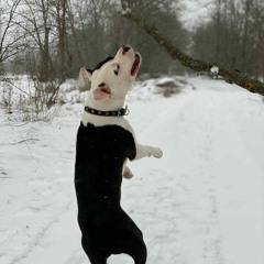 Всему своё время