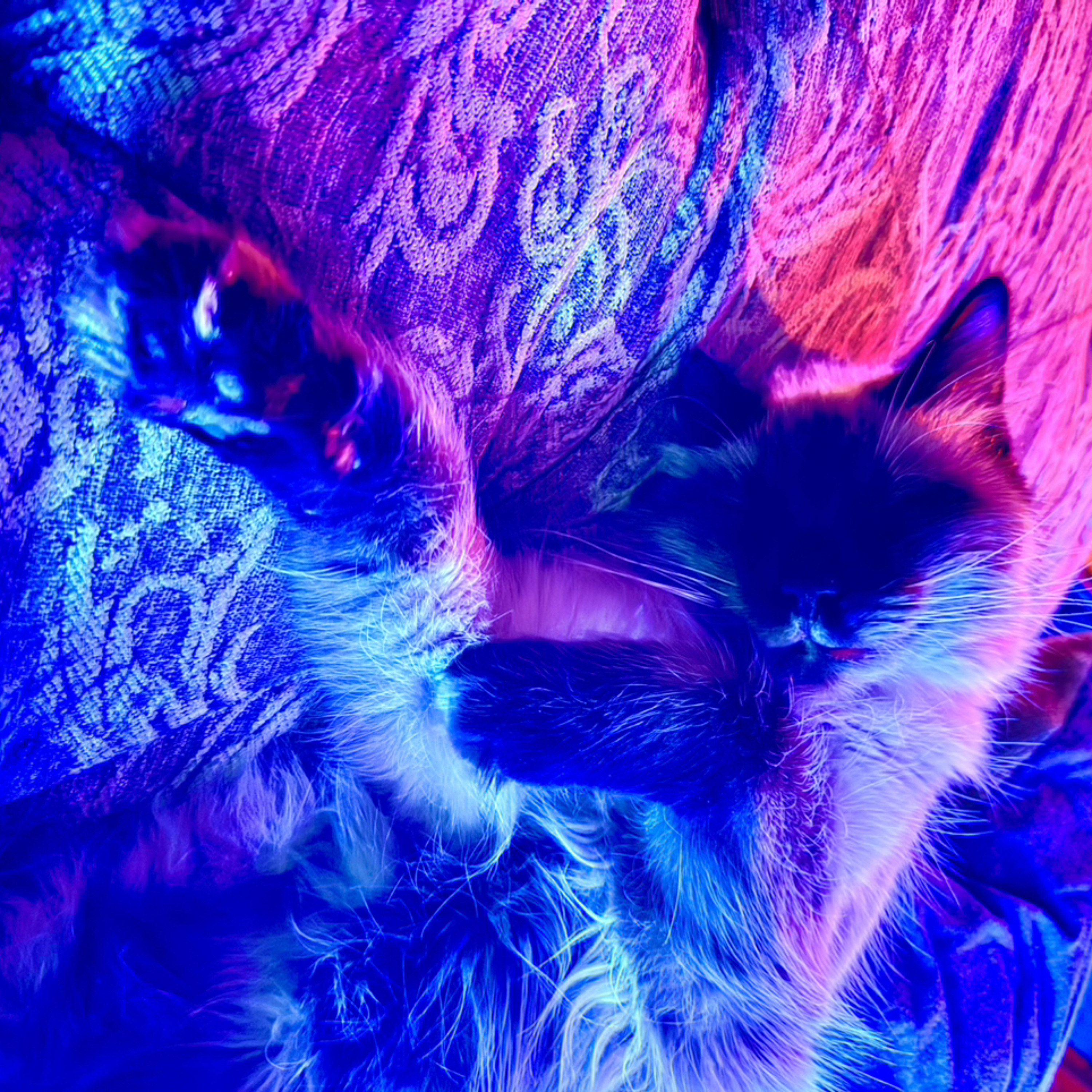 provoking pestilence