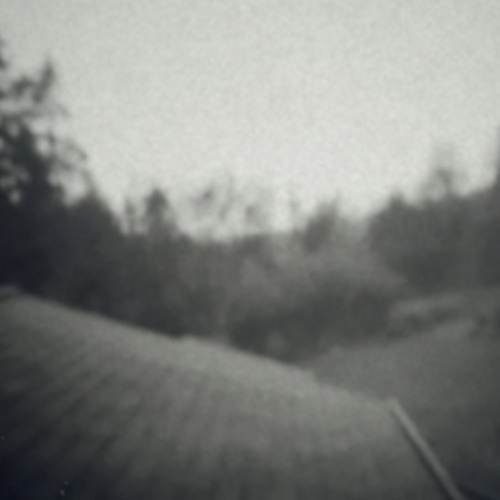 I Don't Know Why I Do This