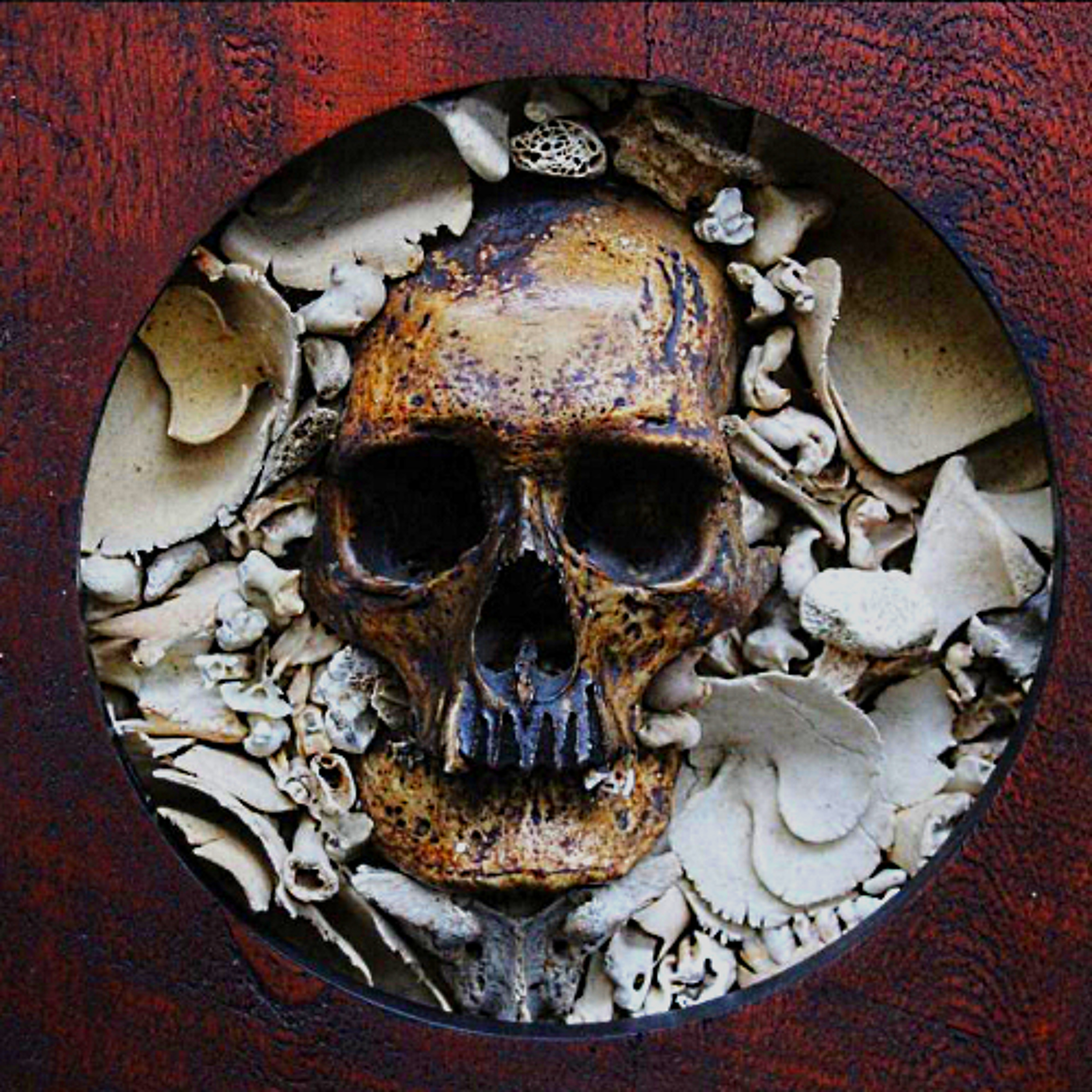 Eclectic current – Sonic reliquaries episode artwork