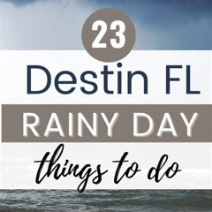 Best Things To Do In Florida On Rainy Days Tours Review