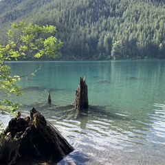 Riparian