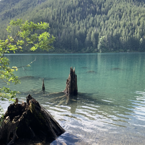 Riparian