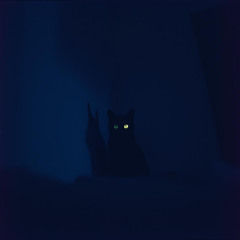 I Fall (Demo)