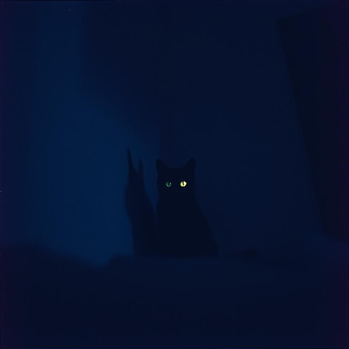 I Fall (Demo)