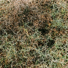 Juxta Position - Legacy File - Routine Issue 010