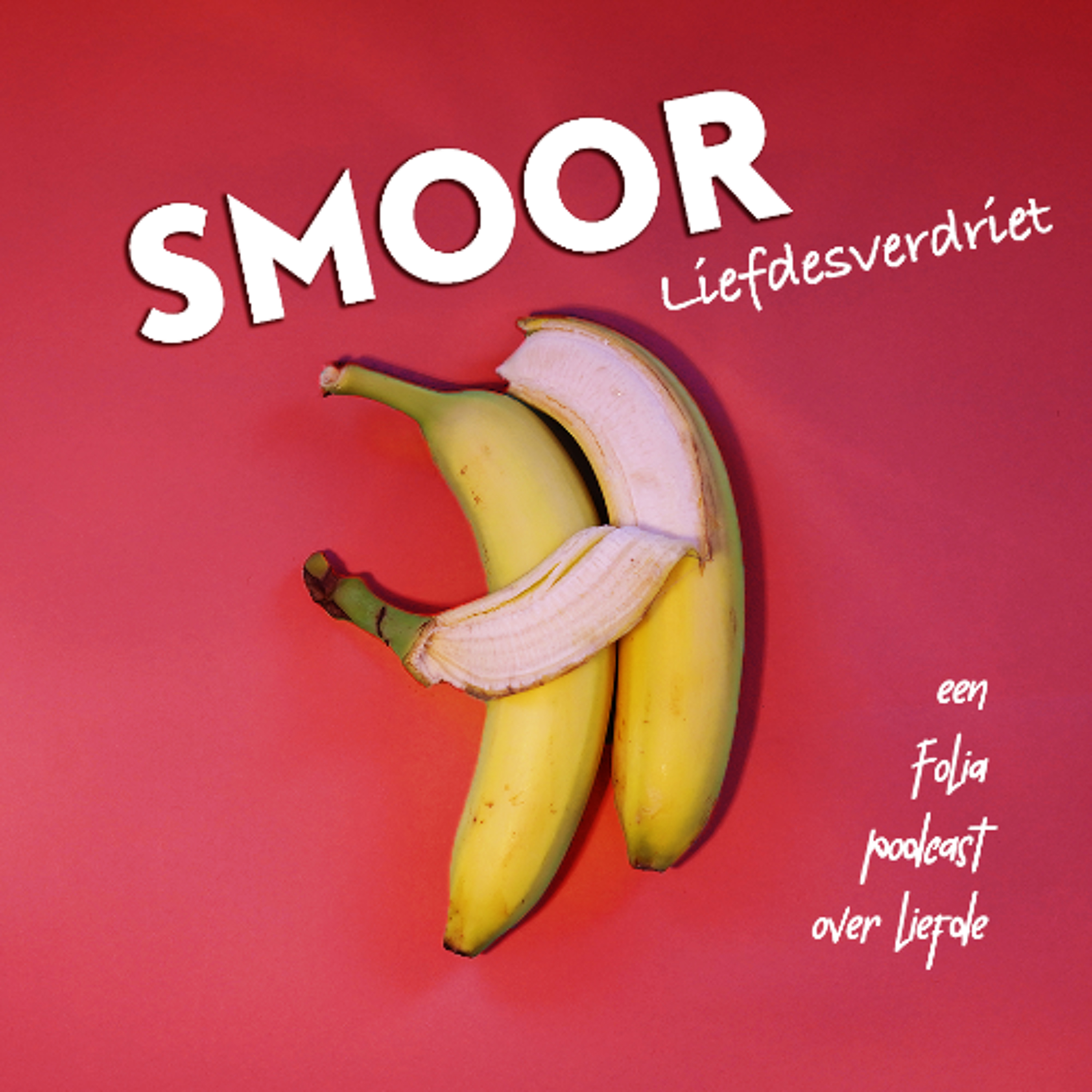 SMOOR | Waarom doet liefdesverdriet zo'n pijn? episode artwork