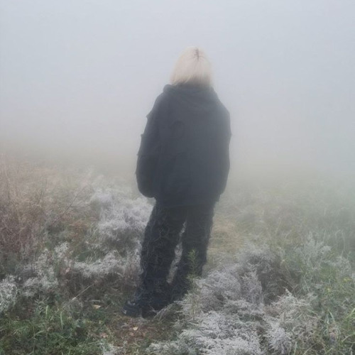 [FREE] carti / lone type beat // tylr001 "adderal"