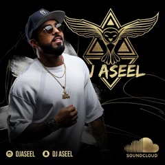 BY DJ ASEEL. ريمكس سيف عامر - بية خوفة