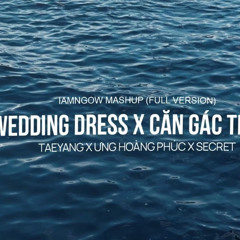 Demo Wedding Dress x Can Gac Trong - Hwang Rmx ( 132 )