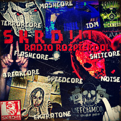 The M.S.P. @ SKRD!!! - Radio Rozpierdol (2018)